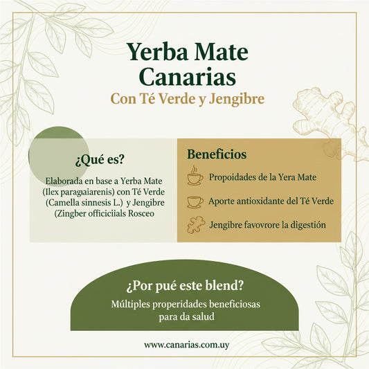 Yerba Mate Canarias Té Verde y Jengibre 500g | Yerba Despalada - Emporio Pewmayen